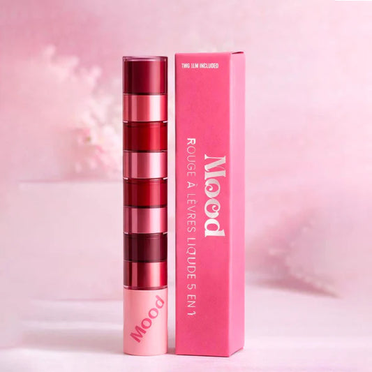 Ensemble de Rouges à Lèvres 5-en-1 💄